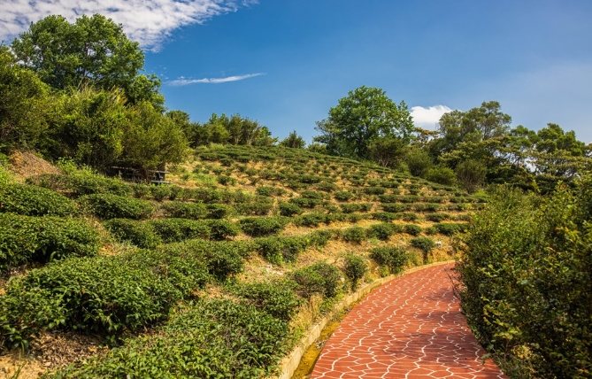 桃園秘境 桃園秘境