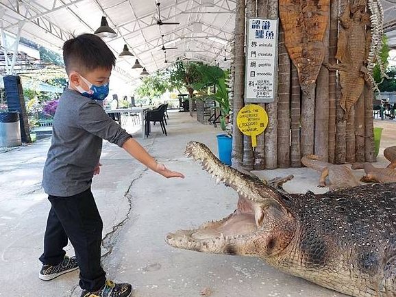 台灣生態農場體驗 台灣生態農場體驗