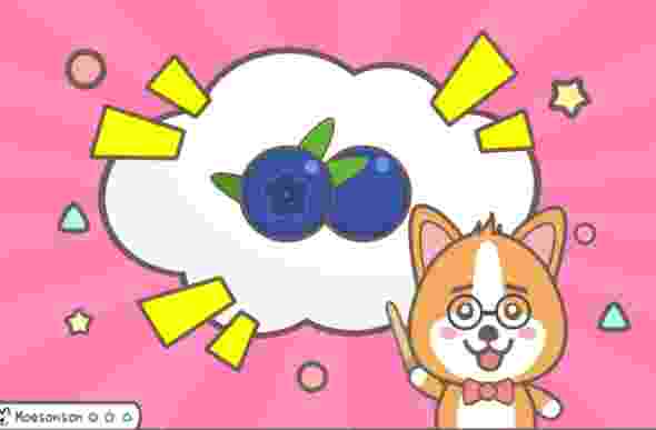 藍莓對狗的好處