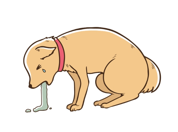 狗狗嘔吐處理 狗狗嘔吐處理
