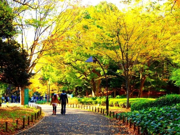 上野公園怎麼玩：完整旅遊指南與必訪景點推薦