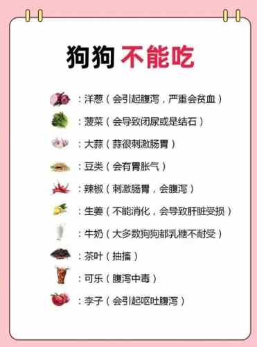 狗狗吃火龍果好處 狗狗吃火龍果好處