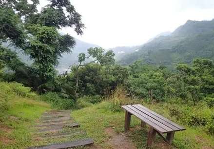 知本森林遊樂區