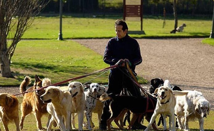 一天要陪狗多久