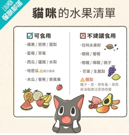 貓咪吃芒果注意事項