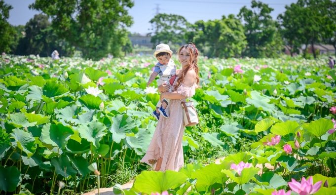 觀音一日遊行程 觀音一日遊行程