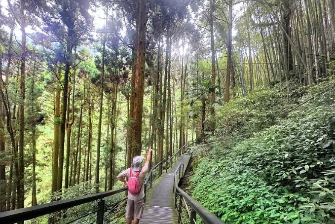 阿里山奮起湖一日遊 阿里山奮起湖一日遊