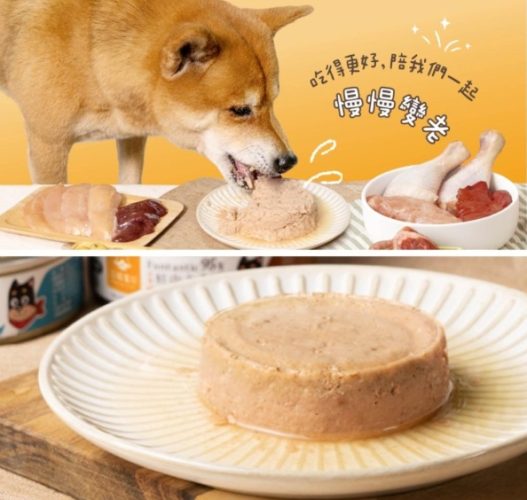 老年狗罐頭選擇