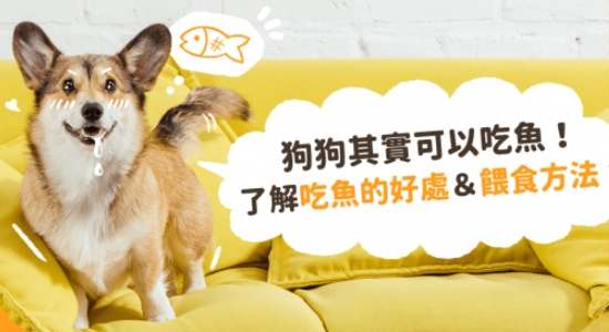 狗吃魚腹瀉 狗吃魚腹瀉