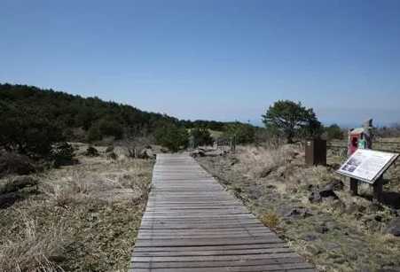 漢拏山登山 漢拏山登山