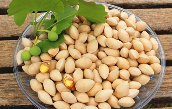 銀杏果好處 銀杏果好處