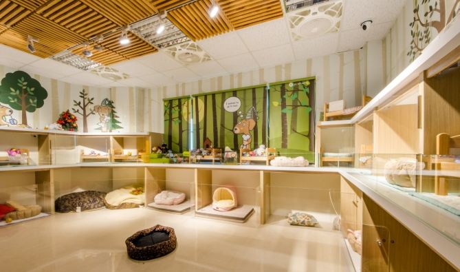 台灣寵物旅館 台灣寵物旅館