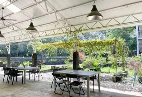 鱷魚肉料理 鱷魚肉料理