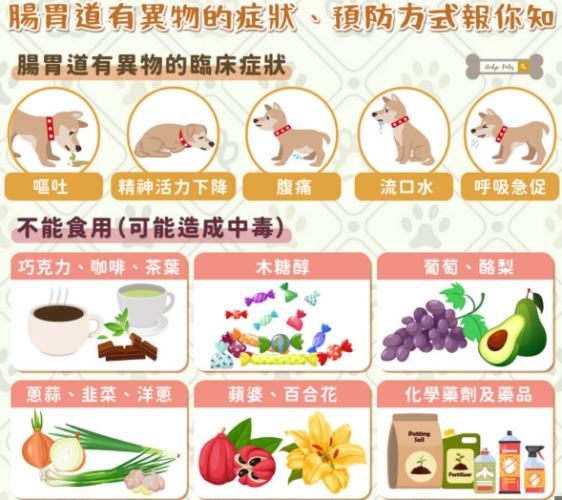 狗狗藥物中毒症狀 狗狗藥物中毒症狀