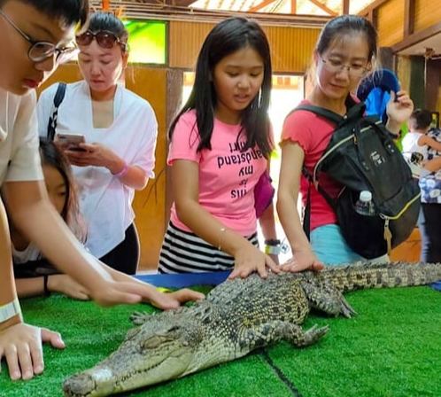 台灣生態農場交通資訊