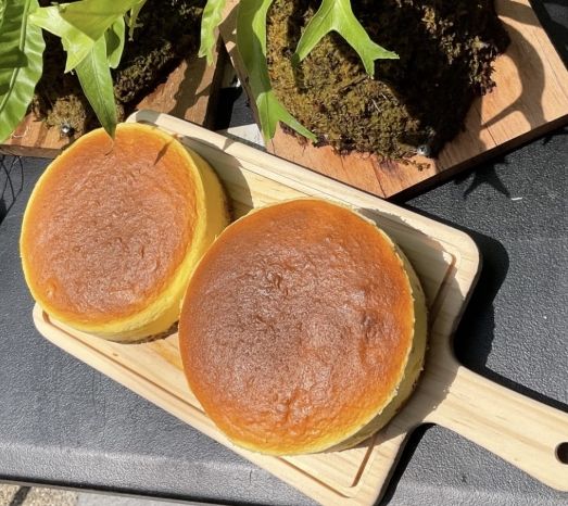 起司蛋糕購買指南 起司蛋糕購買指南