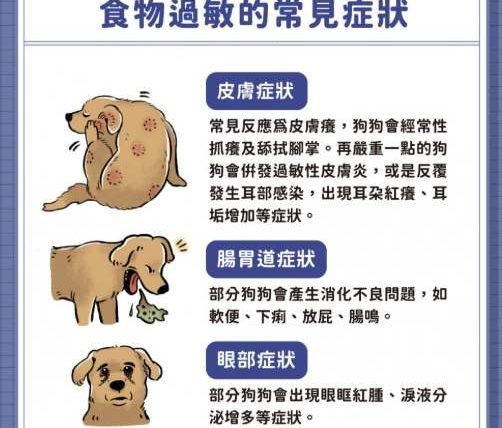 狗狗吃蝦過敏