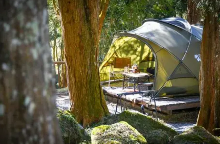 自搭帳篷露營區完整攻略：選址技巧、裝備清單與安全須知