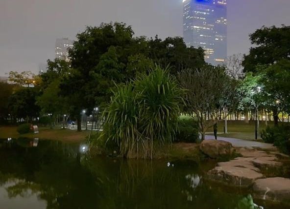 蓮花山公園攻略