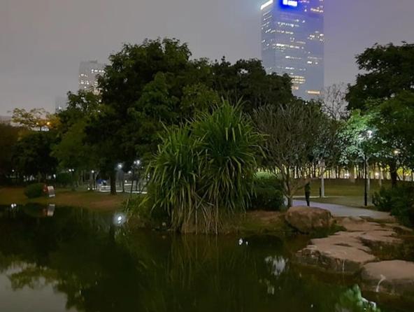 蓮花山公園深度攻略｜交通方式、必拍景點、最佳路線全解析