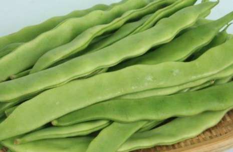 豆角保存技巧 豆角保存技巧