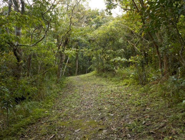 月眉山交通狀況 月眉山交通狀況