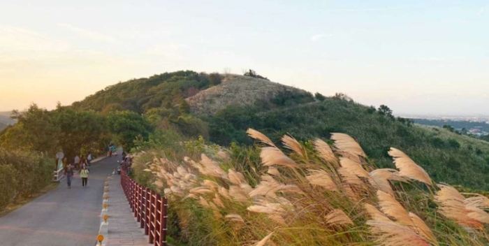 楊梅爬山路線 楊梅爬山路線