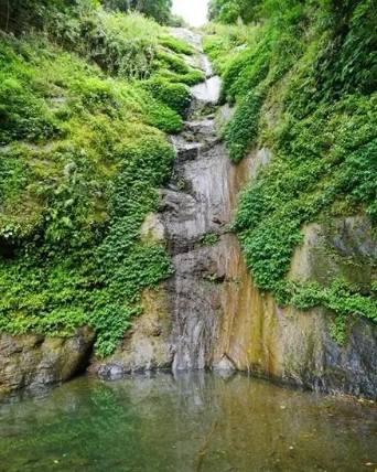 知本森林遊樂區