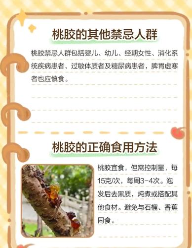 寵物飲食安全 寵物飲食安全