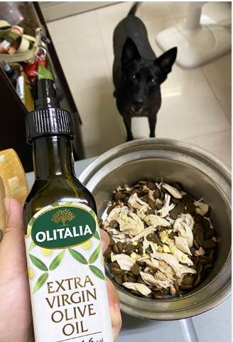 狗狗食用油安全 狗狗食用油安全