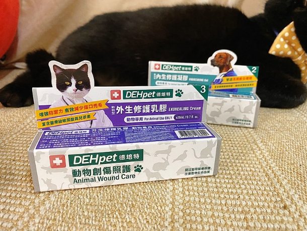 貓抓傷處理方法 貓抓傷處理方法