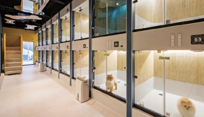 開寵物旅館需要證照嗎