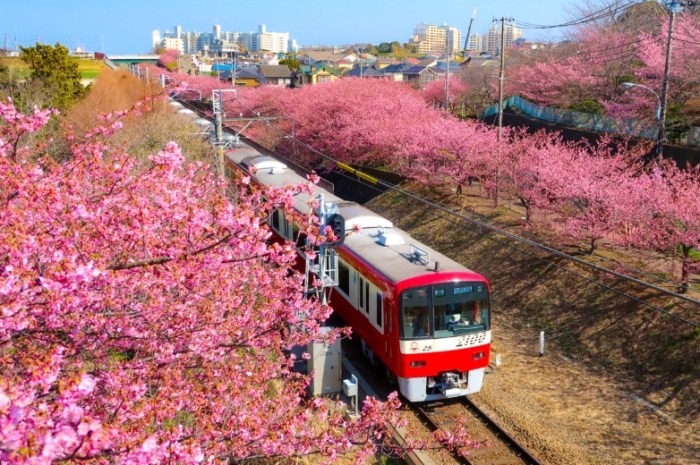 鎌倉一日遊 鎌倉一日遊
