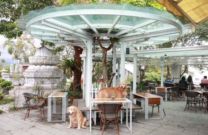 聽水咖啡廳 氛圍 聽水咖啡廳 氛圍