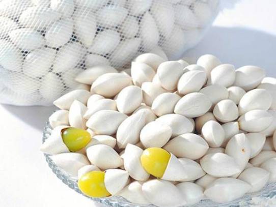 白果每日攝取量 白果每日攝取量