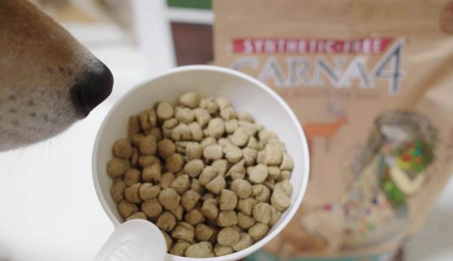 腸胃不好狗狗飼料推薦