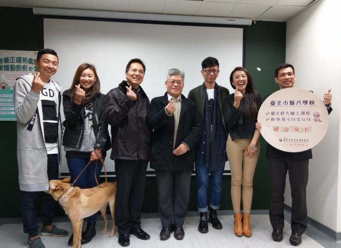 貓咪訓練學校全攻略：如何解決行為問題與選擇最佳課程