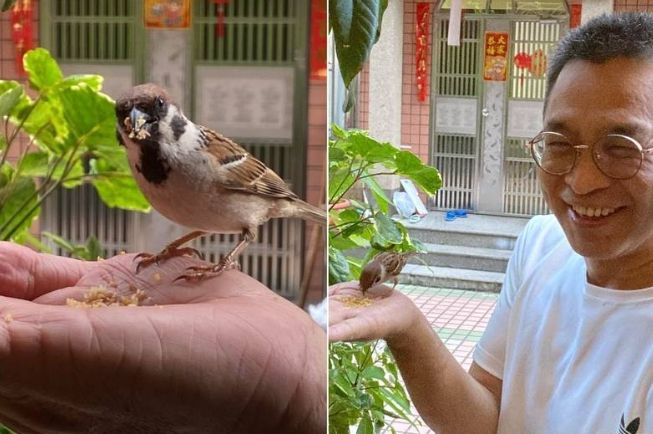 撿到麻雀代表什麼 撿到麻雀代表什麼