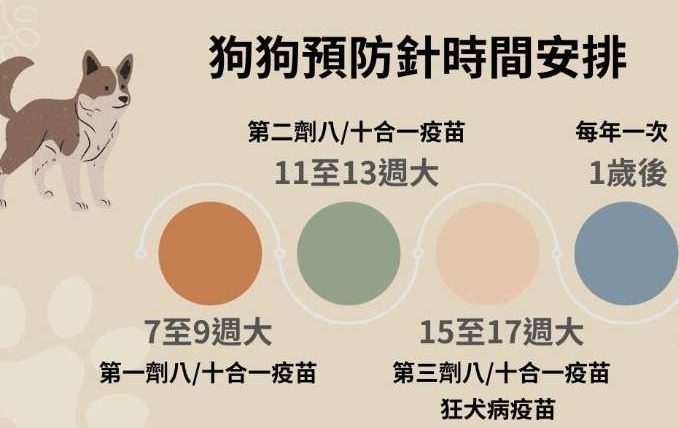 狗狗疫苗時間