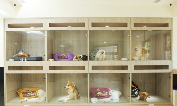 台灣寵物旅館 台灣寵物旅館