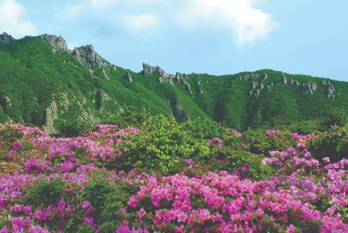 濟州島國立公園 濟州島國立公園
