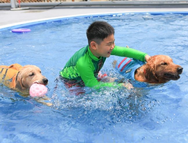 寵物游泳池桃園