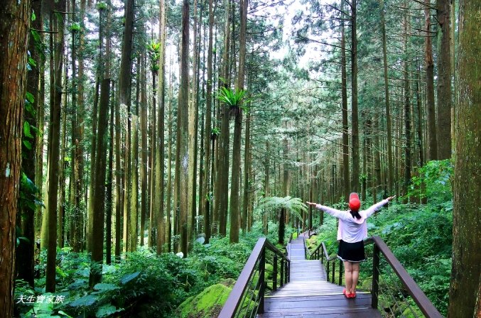 台南出發一日遊