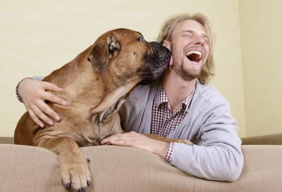 狗狗愛的表達 狗狗愛的表達