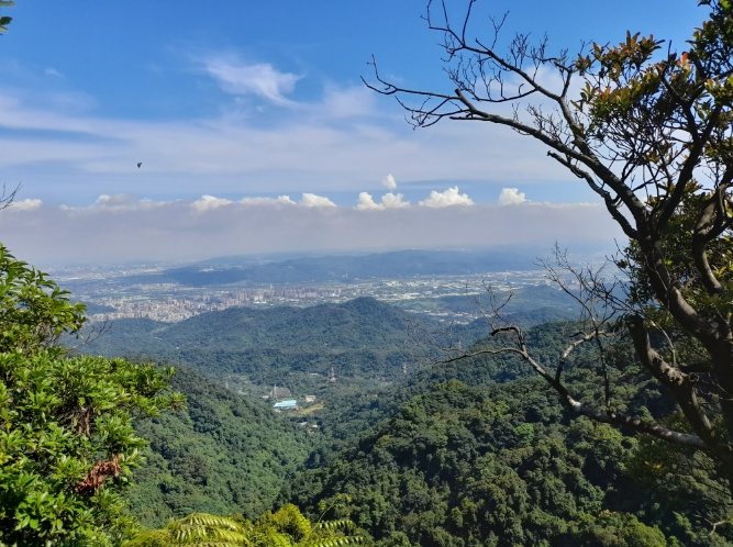 三峽白雞山公車 三峽白雞山公車