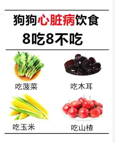 狗吃木耳安全嗎