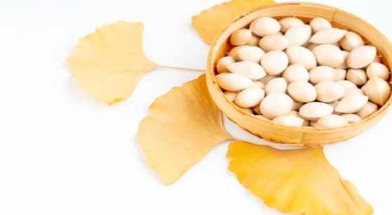 白果毒性 白果毒性