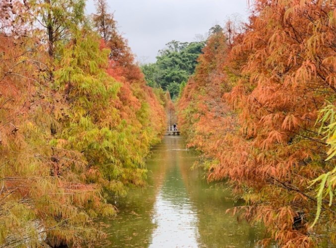 富岡旅遊攻略 富岡旅遊攻略