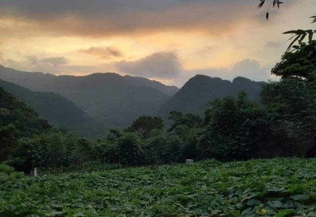 三峽蟾蜍山步道