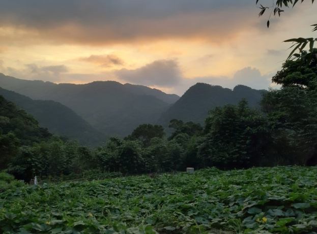 蟾蜍山步道路線 蟾蜍山步道路線